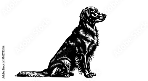 Elegant Black Dog Sitting Gracefully on White Background.