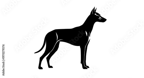 Elegant Black Silhouette of a Standing Dog on White Background.
