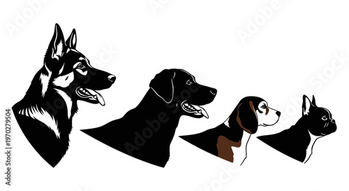 Four different dog breeds in profile, black and white illustration.