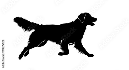 Silhouette of a golden retriever dog running with energy and grace.
