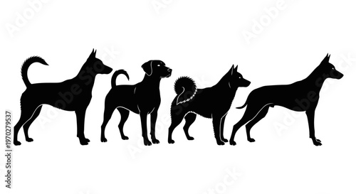 Four distinct dog breed silhouettes standing in a row, showcasing various canine forms and characteristics.