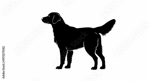 Silhouette of a Majestic Dog Standing Tall and Proud.