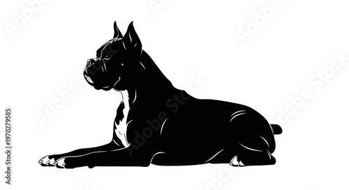 Silhouette of a majestic Boxer dog lying down, showcasing its powerful and elegant form.