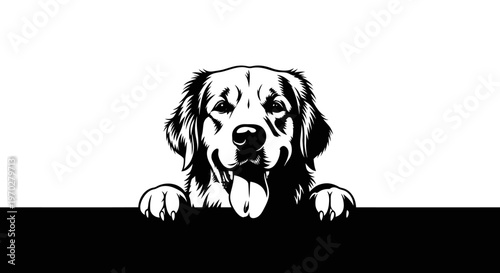 Golden Retriever Dog Peeking Over a Wall, Black and White Vector Illustration.