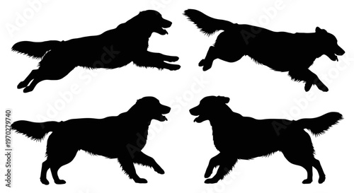 Golden Retriever Silhouettes in Various Dynamic Poses.