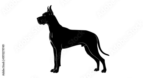 Great Dane Silhouette Standing Tall and Proud.