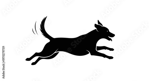 Silhouette of a playful dog running with its tail wagging.
