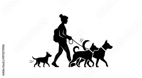 Silhouette of a woman walking multiple dogs on leashes.
