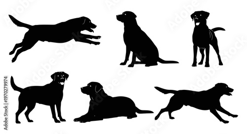 Labrador Retriever dog silhouettes in various poses.