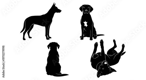 Silhouettes of dogs in various poses on a white background.