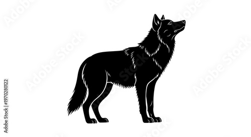 Majestic Black Wolf Silhouette Standing Proudly on White Background.