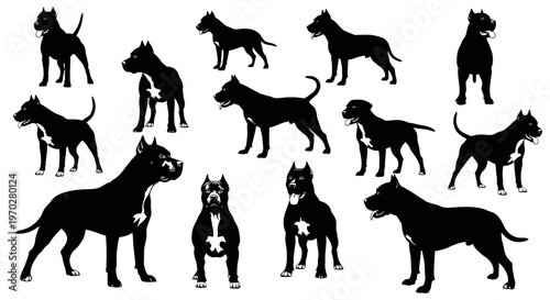 Silhouettes of Pit Bull Dogs in Various Poses.
