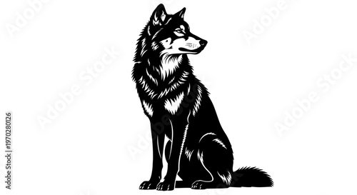 Majestic black wolf sitting in a striking pose.