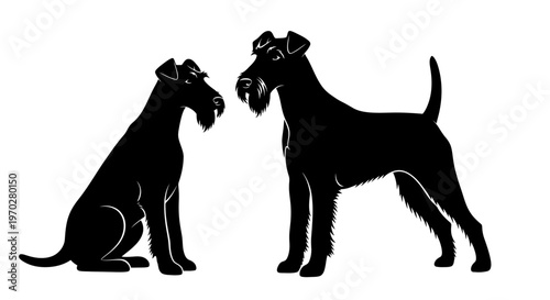 Silhouettes of two Irish Terriers, one sitting and one standing, depicted in a minimalist black and white style.