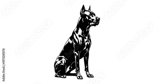 Majestic Doberman Pinscher dog sitting gracefully, black and white illustration.