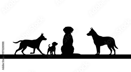 Silhouettes of various dog breeds and sizes standing together.