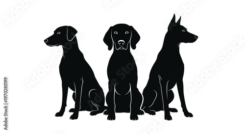 Three Silhouetted Dogs Sitting Attentively on a White Background.