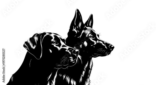 Two dogs in profile, a German Shepherd and a Labrador Retriever, depicted in a stark black and white illustration.