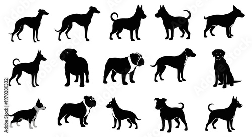 Silhouettes of various dog breeds in different poses, showcasing their unique shapes and characteristics.