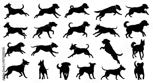 Silhouettes of various dog breeds in different poses.