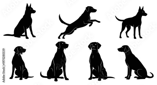 Silhouettes of various dog breeds in different poses on a white background.