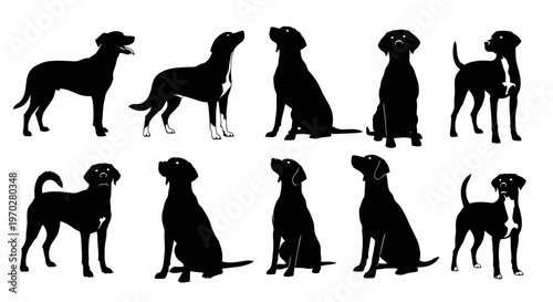 Silhouettes of various dog breeds in different poses, showcasing their unique shapes and characteristics.