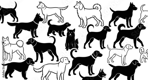 Various dog breeds in black and white line art illustration.