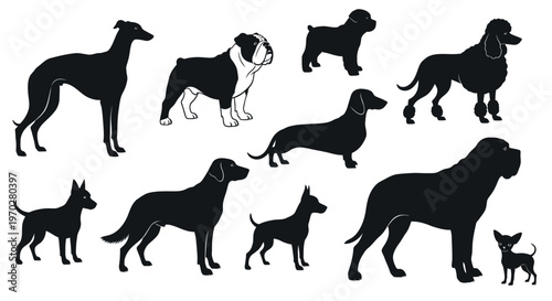 Various dog breeds silhouettes in black and white.
