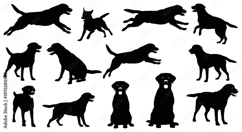 Obraz premium Silhouettes of various Labrador Retriever dogs in different poses.