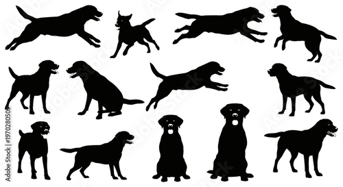 Silhouettes of various Labrador Retriever dogs in different poses.