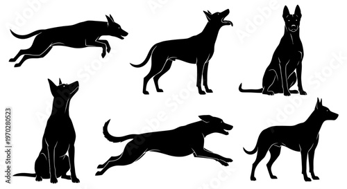 Silhouettes of various dogs in different poses.