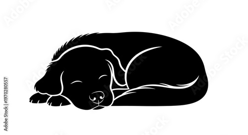 Sleeping puppy silhouette on white background.