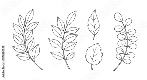 Set of five different black and white line art sketches of leaves and branches including individual leaves and stems with foliage.