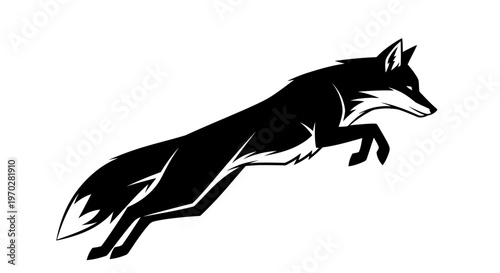 Dynamic black fox leaping with powerful grace.