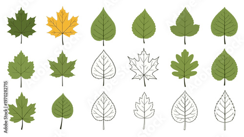 Empty placeholder image illustration 🖼️✨