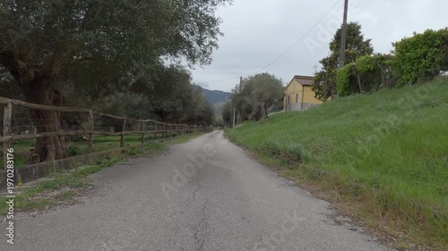 Point of view video of a car traveling along a rural road in Venafro Olive Park.