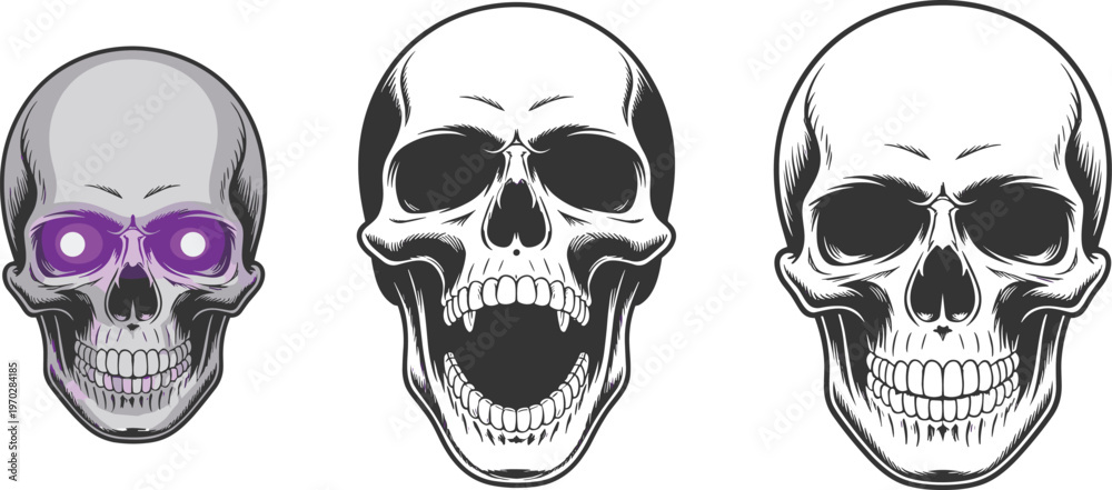 Fototapeta premium Three skull showing different eye socket colors and dental structures anatomy bone human skull eye sockets