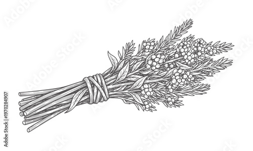 Black and white line of a bundled herb broom with berries and foliage herbs