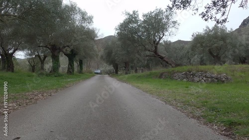 Point of view video of a car traveling along a rural road in Venafro Olive Park