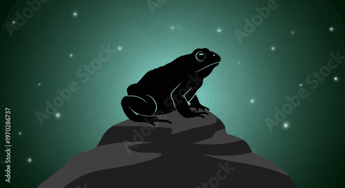 A solitary black toad sits atop a rock under a starry night sky.