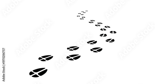 Animal Tracks in Snow Leading Away.