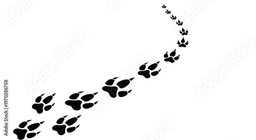 Animal Paw Prints Trail on White Background.