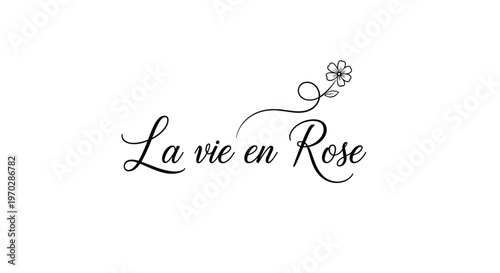 Elegant handwritten calligraphy text saying la vie en rose accompanied by a delicate line art flower on white background.