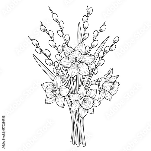 Daffodil and pussy willow bouquet illustration isolated on transparent background  