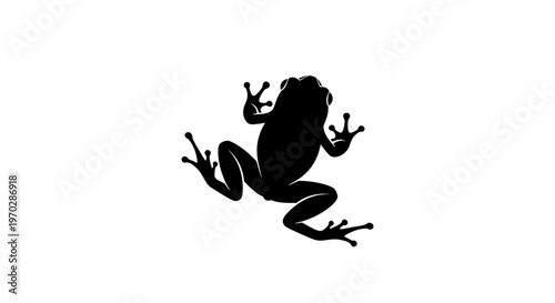Black Silhouette of a Frog on a White Background.