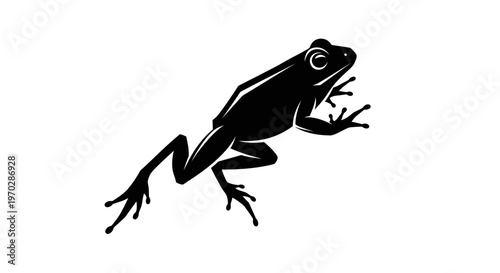 Black Silhouette of a Frog on a White Background.