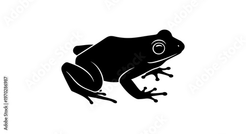 Black Silhouette of a Frog on a White Background.