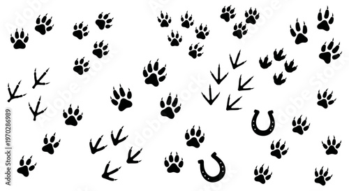 Collection of Animal and Horseshoe Footprints on White Background.