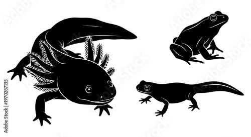 Black Silhouette Illustrations of Amphibians and Salamanders.