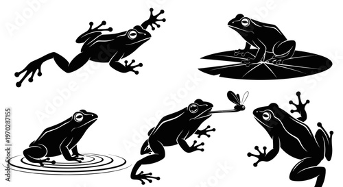 Collection of Black Frogs in Various Poses and Actions.